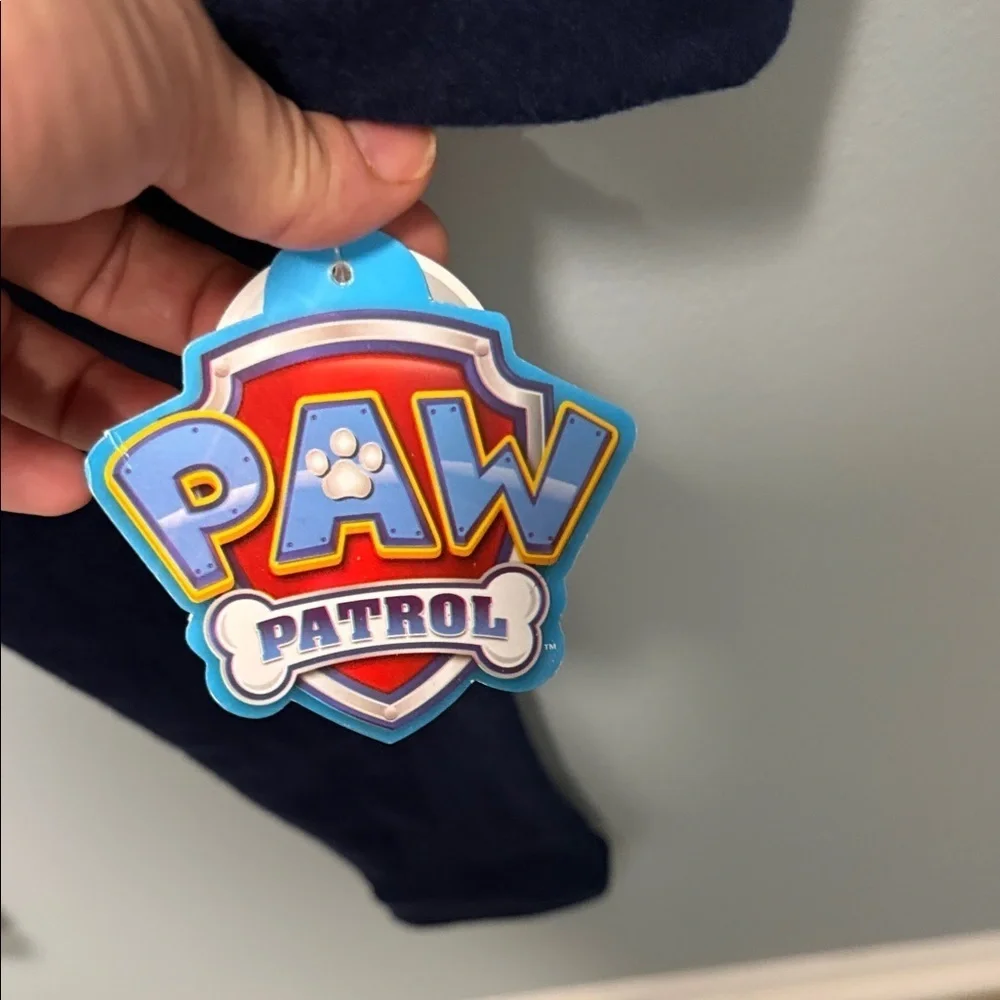 Blue and Black Paw Patrol Hoodie Set for boys